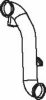 DINEX 29521 Exhaust Pipe